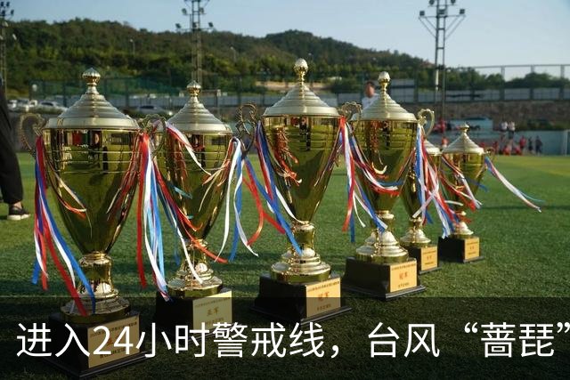 进入24小时警戒线，台风“蔷琵”将给我国东海大部和华东沿海带来持续强风雨